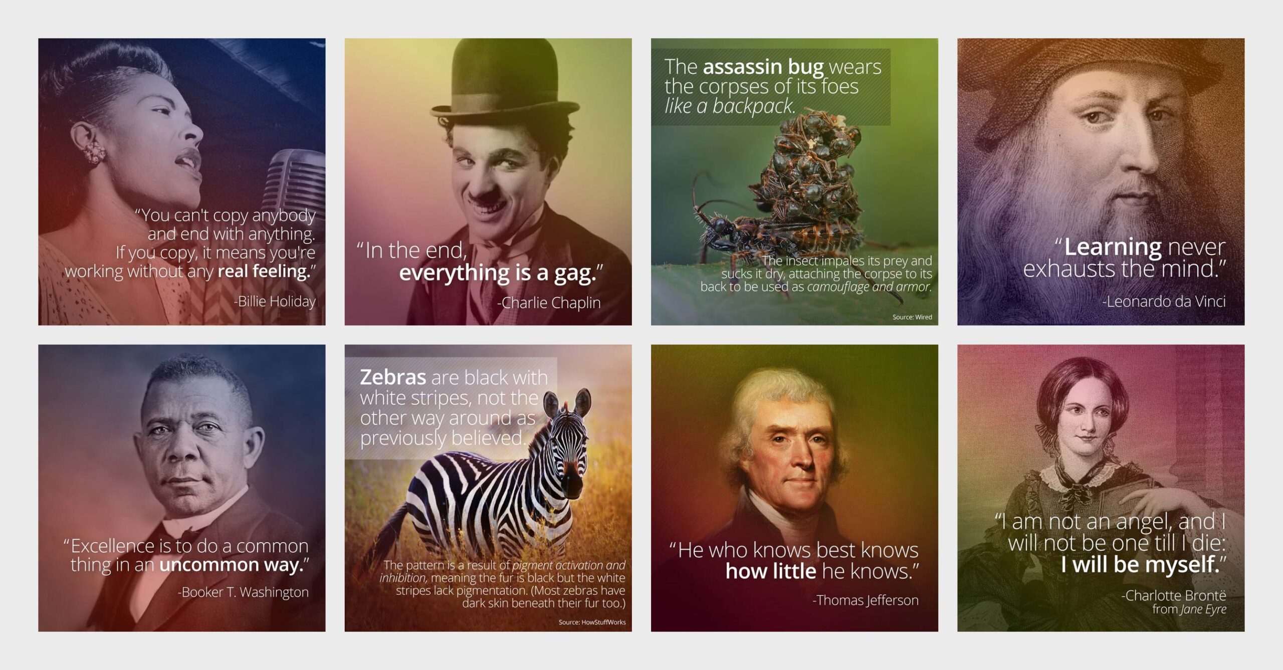 A collection of Curiosity social media cards featuring historical figures, inspirational quotes and surprising science facts.